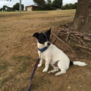Meet your Posher, Helen